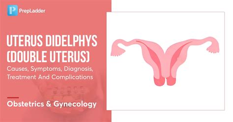 two vaginas|Uterus Didelphys: Causes, Symptoms, Diagnosis & Treatment